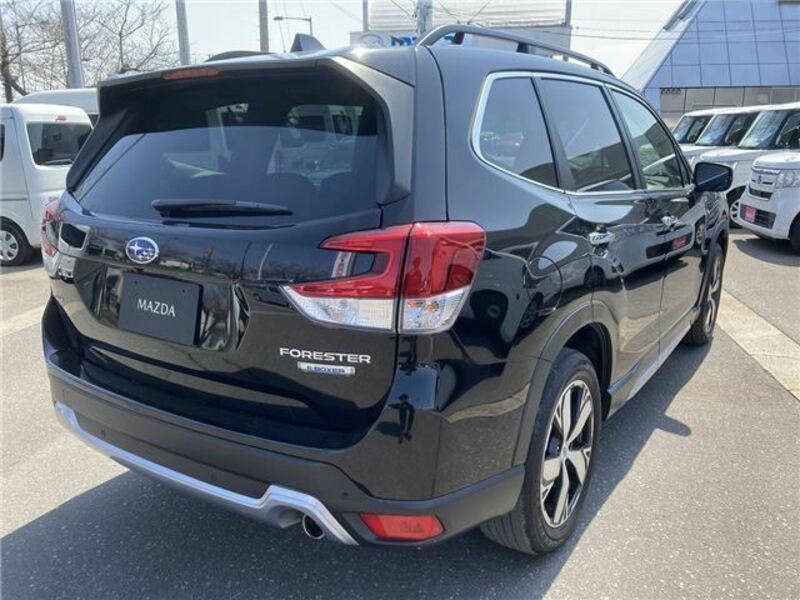 FORESTER