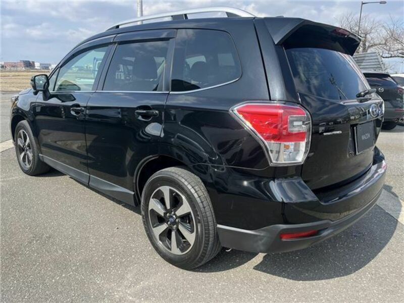 FORESTER