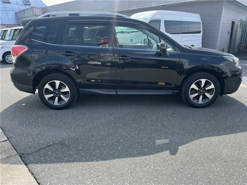 FORESTER