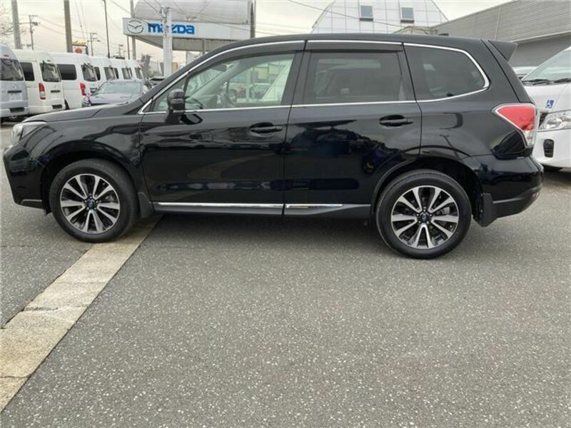 FORESTER