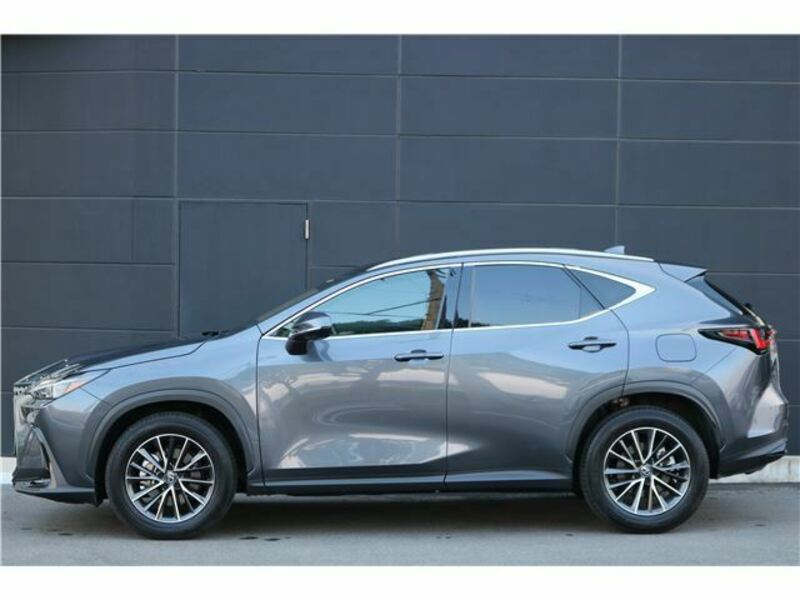 NX