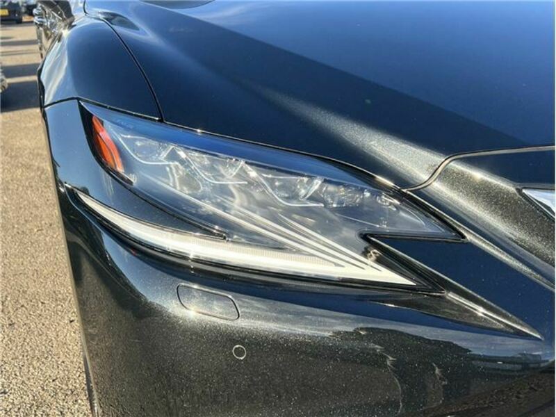 LS