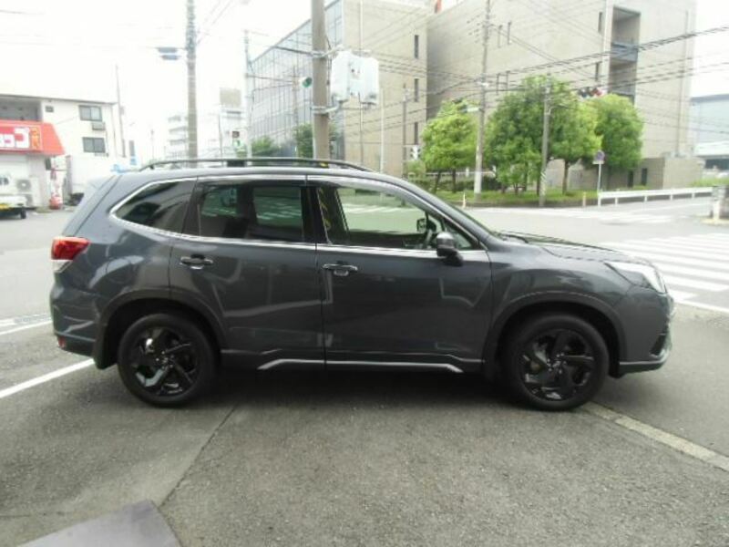 FORESTER