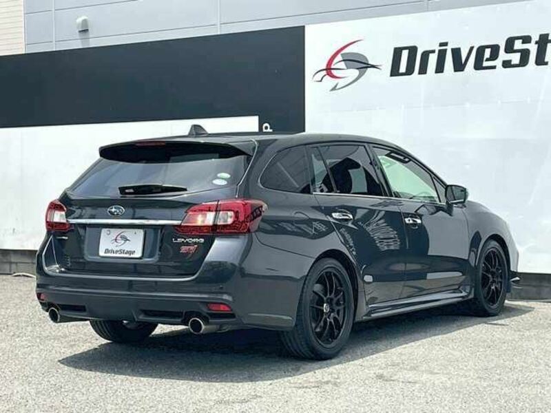 LEVORG