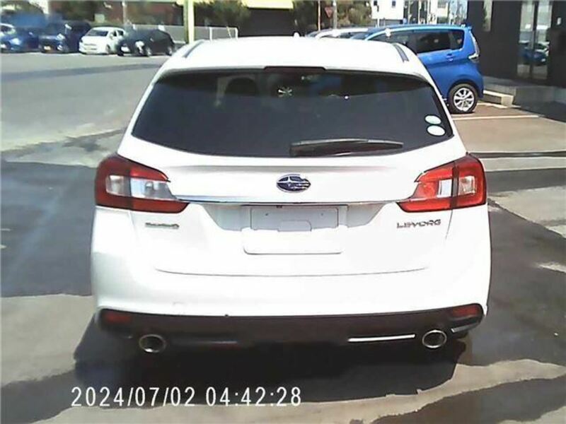 LEVORG