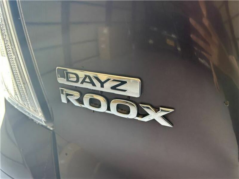 DAYZ ROOX
