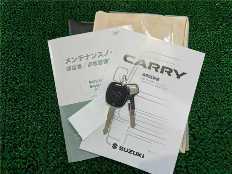 CARRY TRUCK
