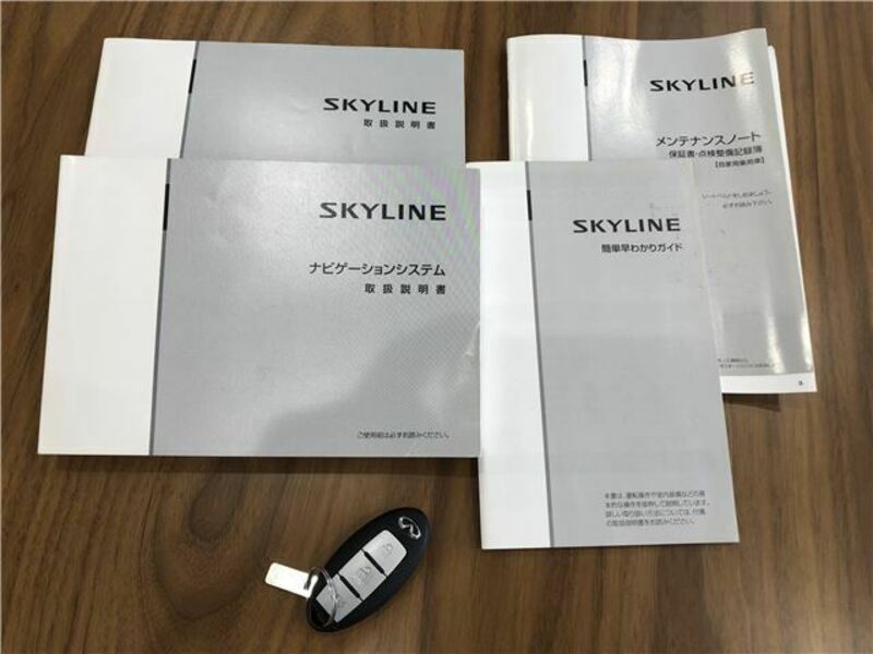 SKYLINE