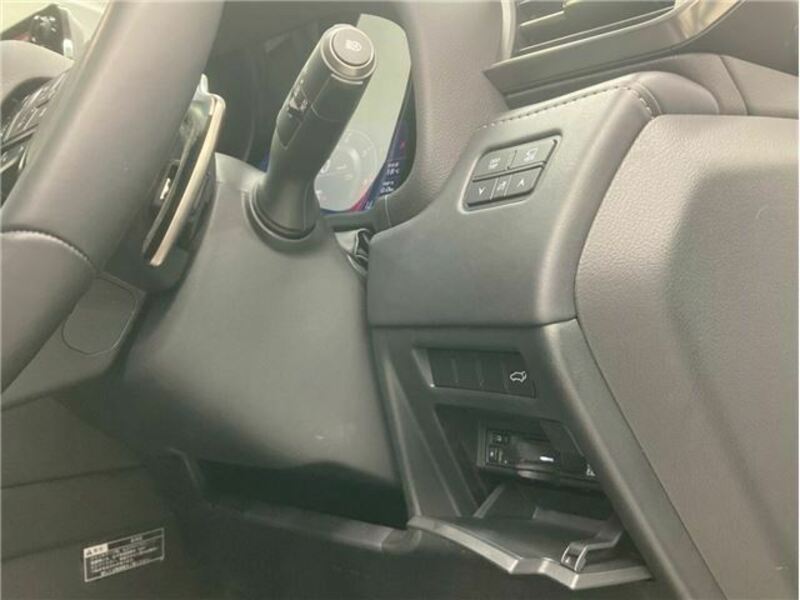 LX