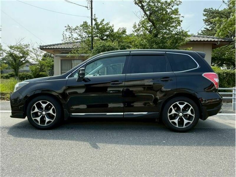 FORESTER