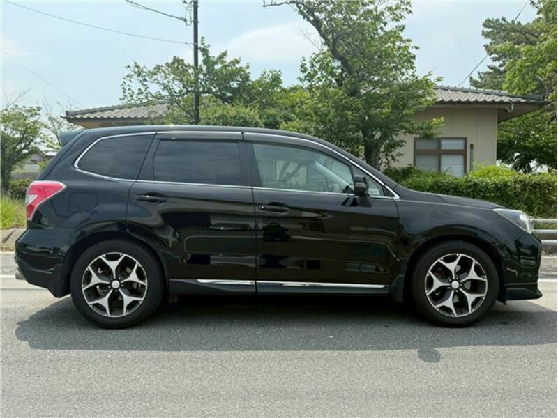 FORESTER