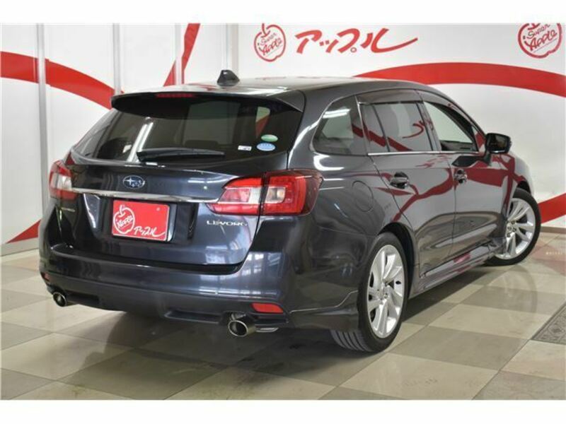 LEVORG