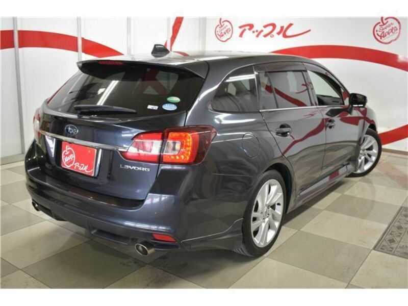 LEVORG