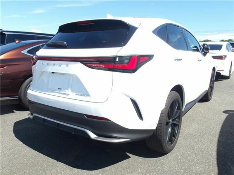 NX