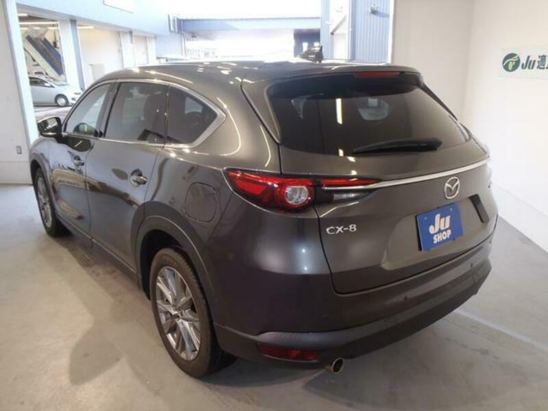 CX-8