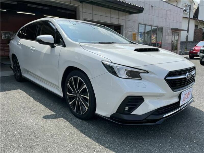 LEVORG-0