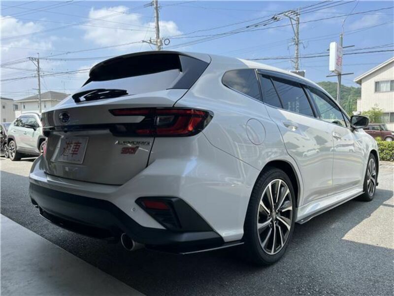 LEVORG