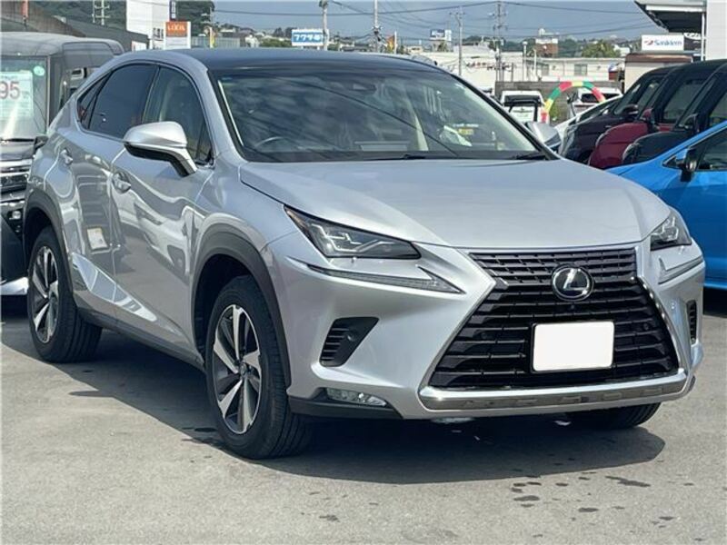 NX