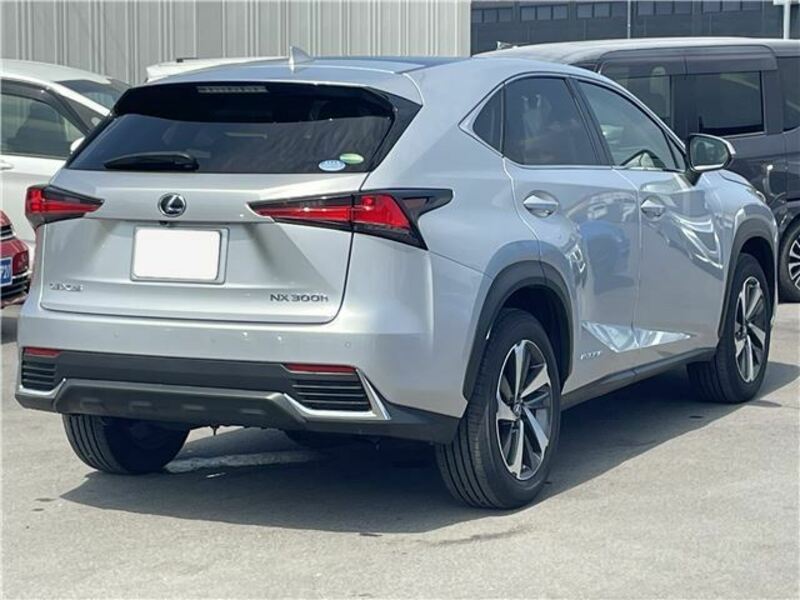 NX