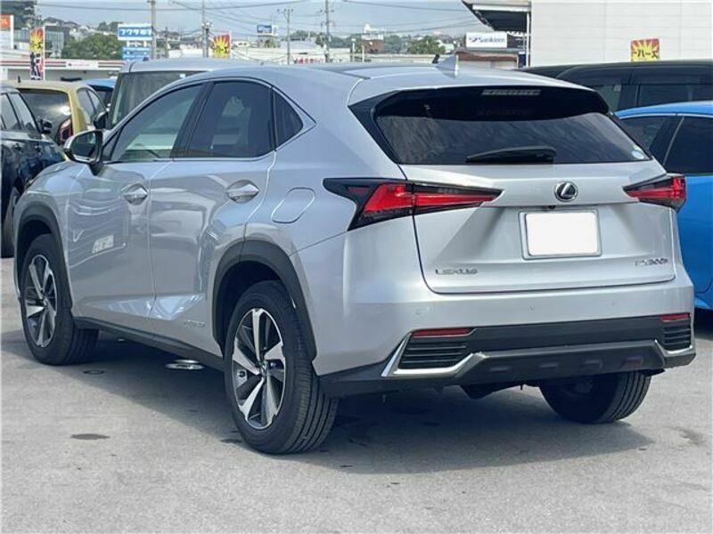 NX