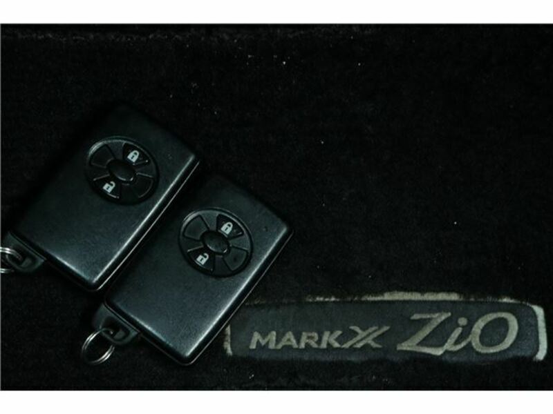 MARK X ZIO