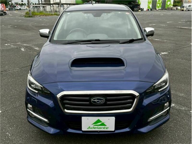 LEVORG