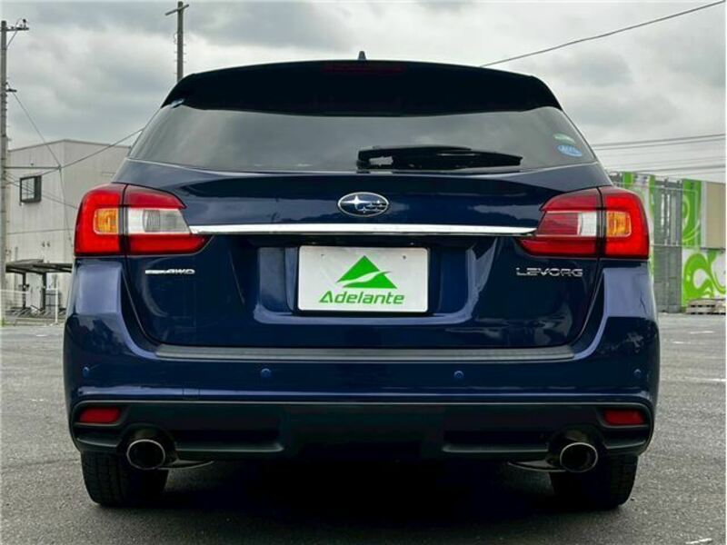 LEVORG
