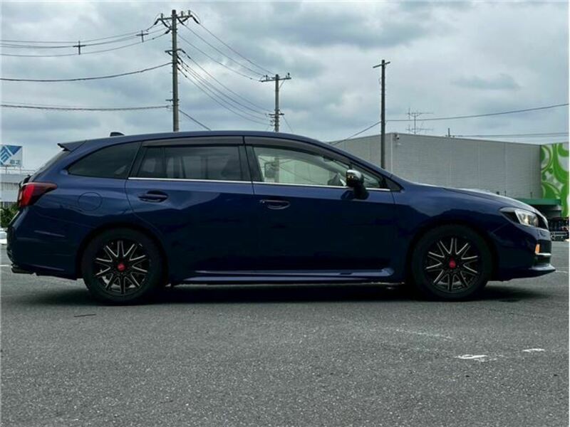 LEVORG