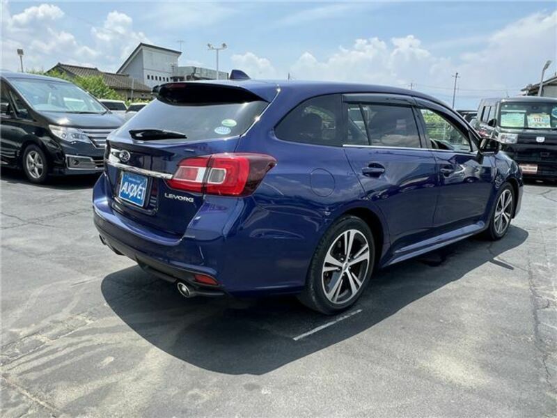 LEVORG