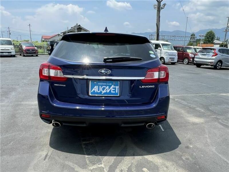 LEVORG