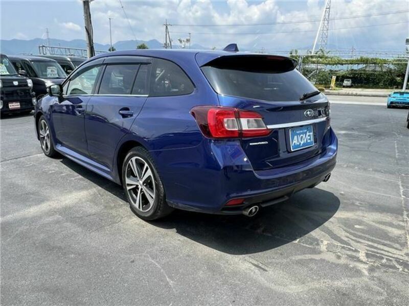 LEVORG