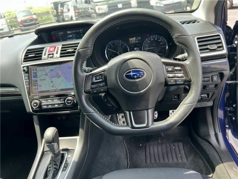 LEVORG