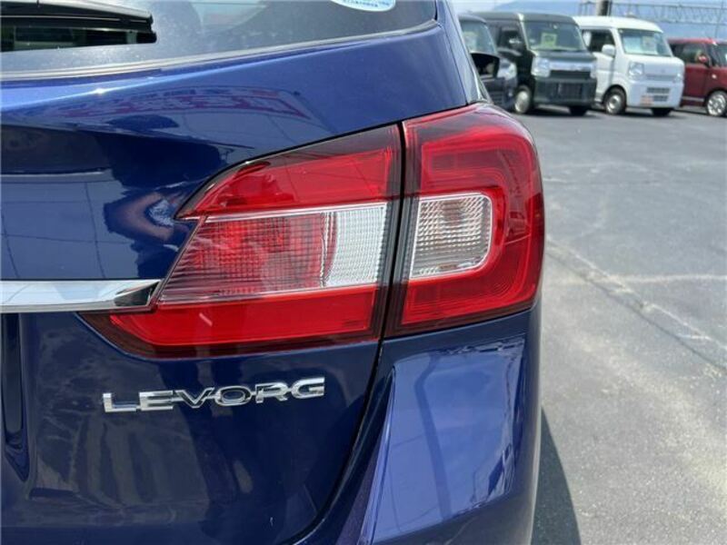 LEVORG