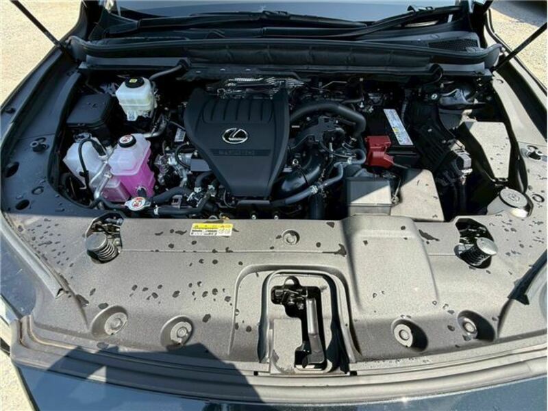 RX