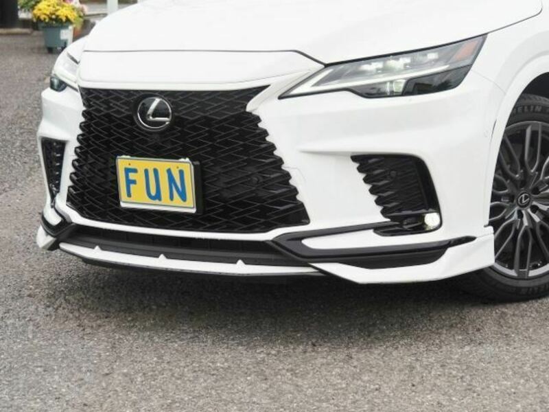 RX