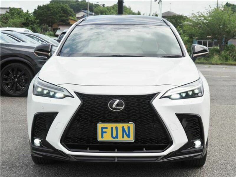 NX