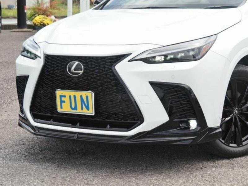 NX