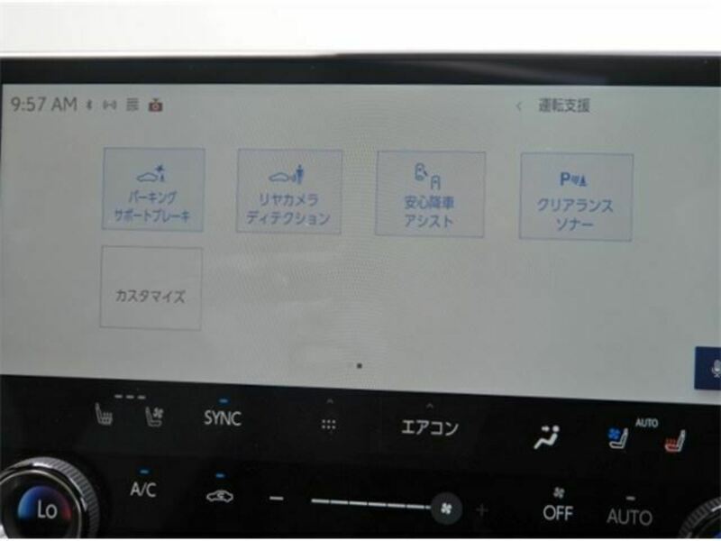 NX