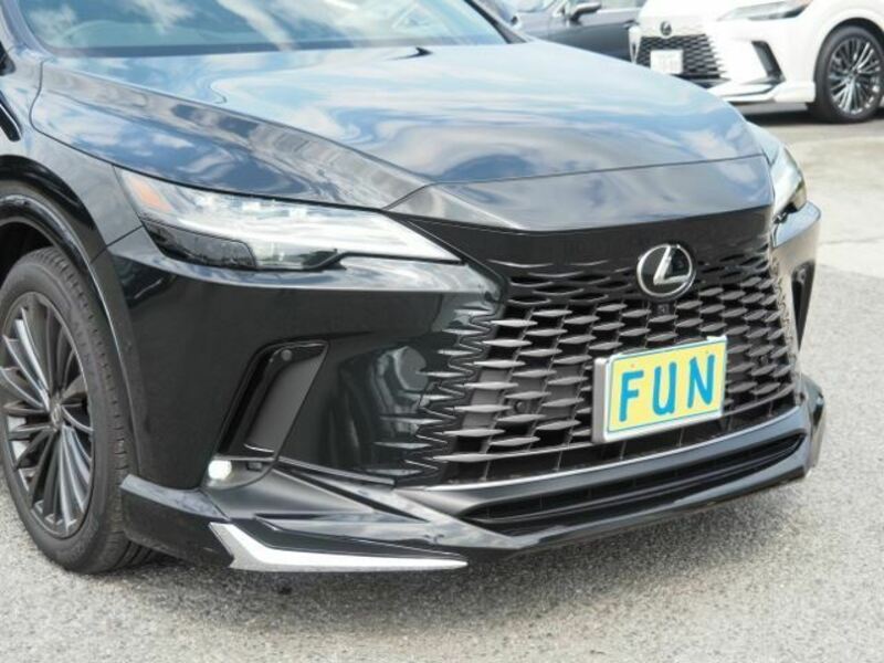 RX