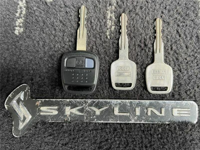 SKYLINE
