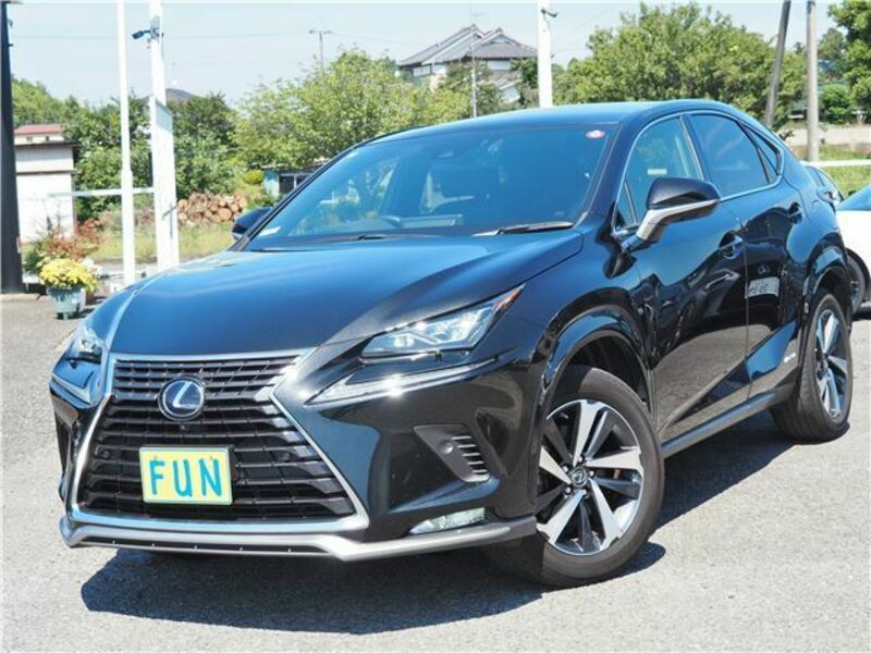 LEXUS NX