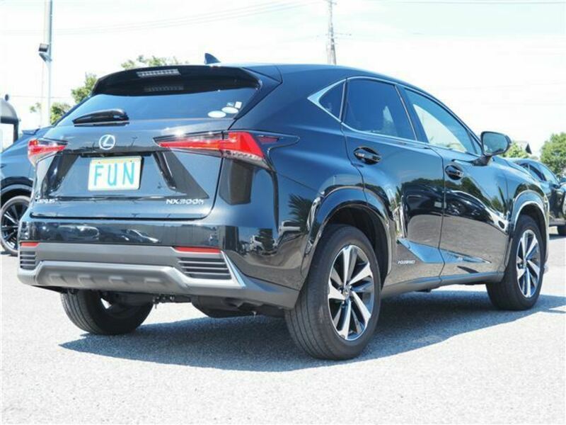 NX