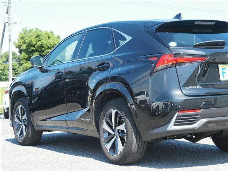 NX