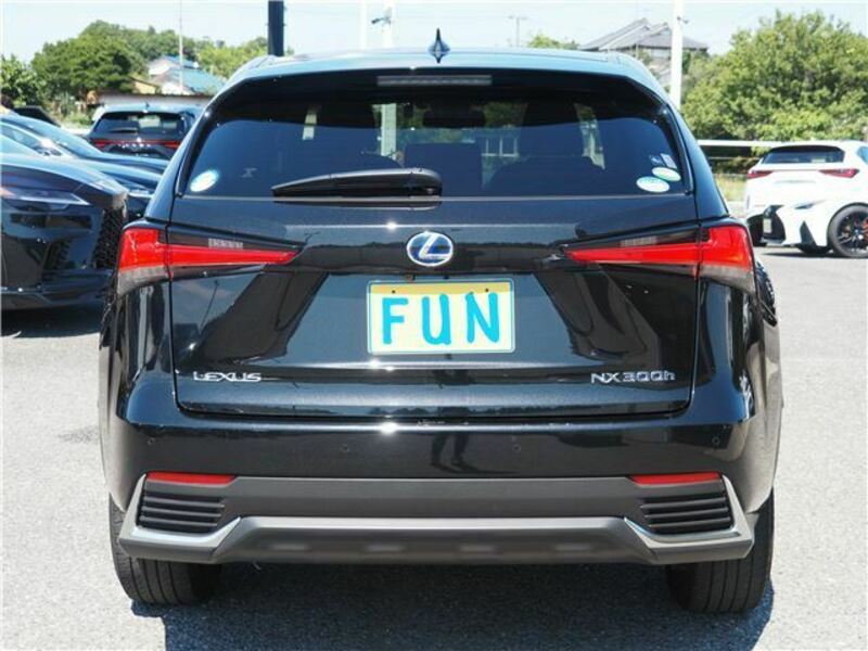 NX