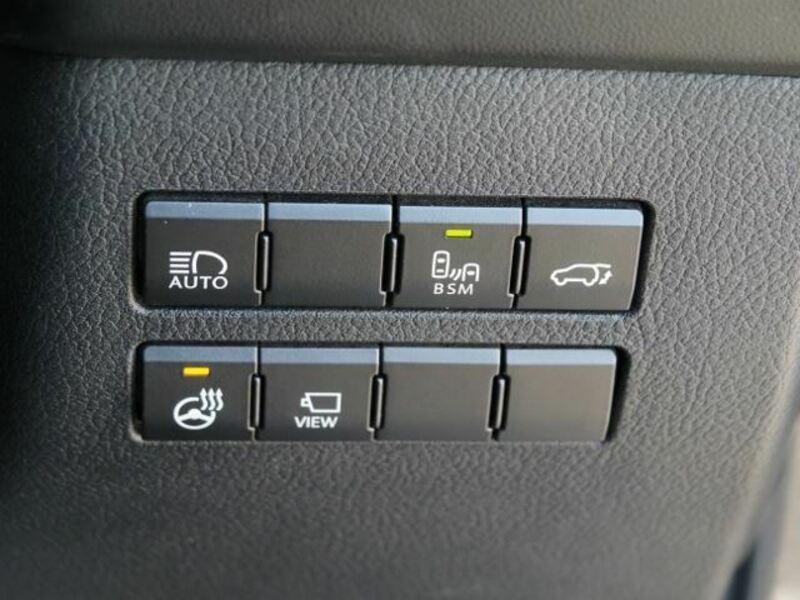 NX