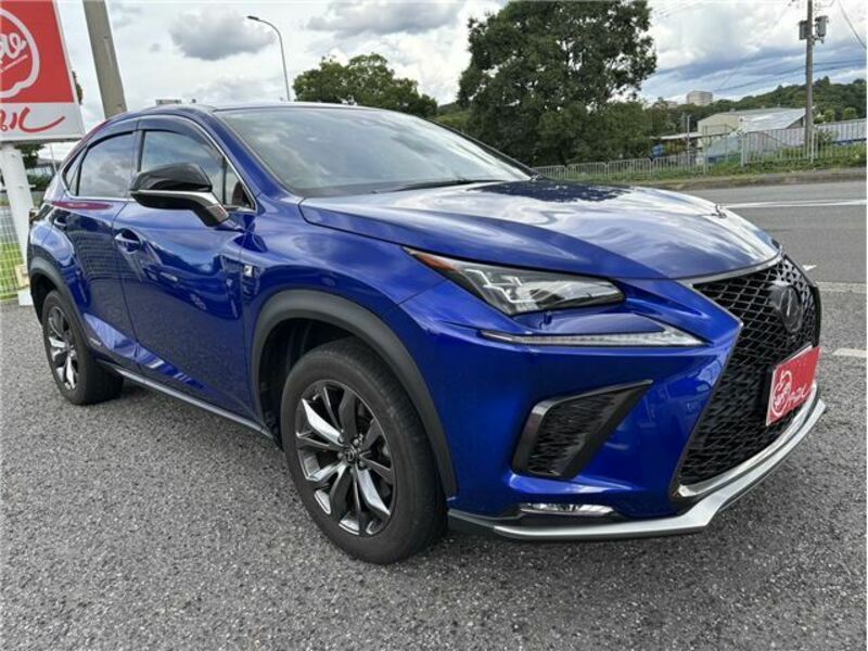 NX