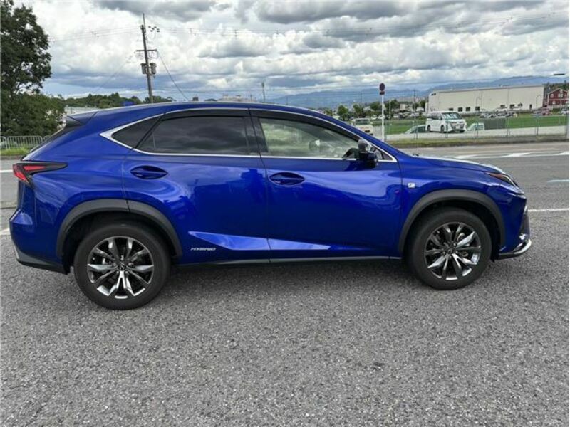 NX