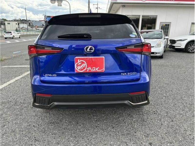 NX