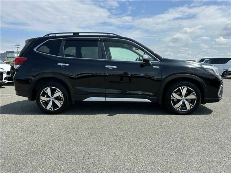 FORESTER