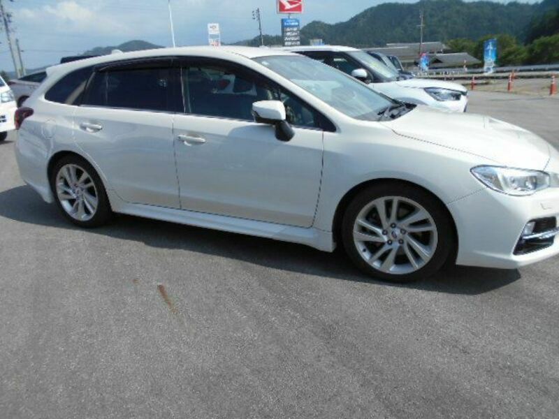 LEVORG